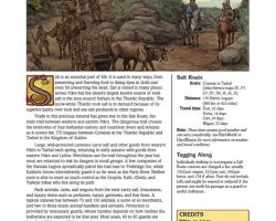 A Review of the Role Playing Game Supplement Salt Route