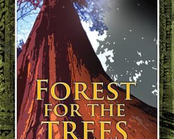 A Review of the Role Playing Game Supplement A04: Forest for the Trees