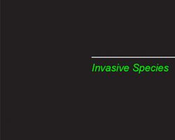 A Review of the Role Playing Game Supplement Invasive Species