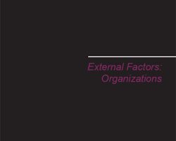External Factors: Organizations