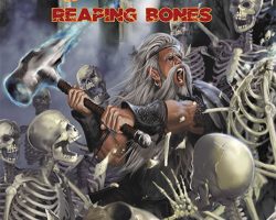 A Review of the Role Playing Game Supplement 5th Edition Adventure Reaping Bones