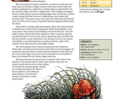 A Review of the Role Playing Game Supplement Z’hura (Fungi)