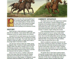 A Review of the Role Playing Game Supplement Patrel: Tribal Moot Site