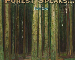 Vathak 5e Adventures - When the Forest Speaks Part One